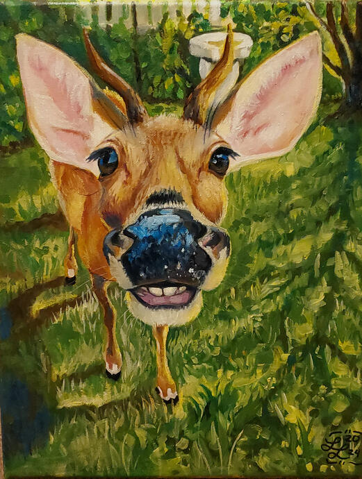 "Peek-A-Deer" 2/9/24